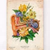 Codex Anatomicus Various Organs^Ear anatomy - Floral - Vintage