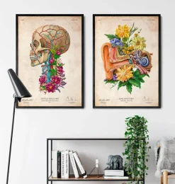 Codex Anatomicus Various Organs^Ear anatomy - Floral - Vintage