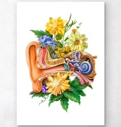 Codex Anatomicus Various Organs^Ear anatomy - Floral - White