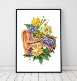 Codex Anatomicus Various Organs^Ear anatomy - Floral - White
