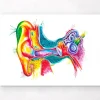 Codex Anatomicus Various Organs^Ear anatomy art - Watercolor splash