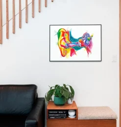 Codex Anatomicus Various Organs^Ear anatomy art - Watercolor splash