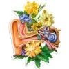 Codex Anatomicus Stickers^Ear anatomy sticker - Floral