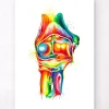 Codex Anatomicus Skull & Skeleton | Hands & Legs^Elbow anatomy - Watercolor splash