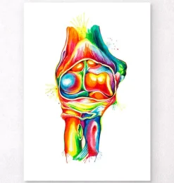 Codex Anatomicus Skull & Skeleton | Hands & Legs^Elbow anatomy - Watercolor splash