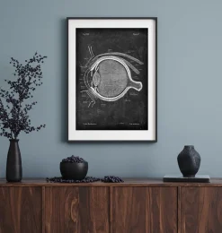 Codex Anatomicus Various Organs^Eye anatomy - Chalkboard