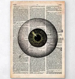 Codex Anatomicus Various Organs^Eye anatomy - Old dictionary page