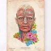 Codex Anatomicus Head & Face^Face anatomy - Floral - Vintage
