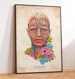 Codex Anatomicus Head & Face^Face anatomy - Floral - Vintage