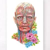 Codex Anatomicus Head & Face^Face anatomy - Floral - White