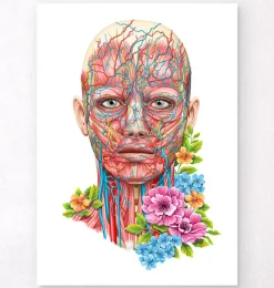 Codex Anatomicus Head & Face^Face anatomy - Floral - White