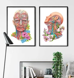 Codex Anatomicus Head & Face^Face anatomy - Floral - White