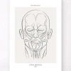 Codex Anatomicus Head & Face^Face muscles anatomy - Line Art