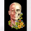 Codex Anatomicus Head & Face^Facial muscles anatomy - Floral - Black