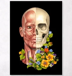 Codex Anatomicus Head & Face^Facial muscles anatomy - Floral - Black