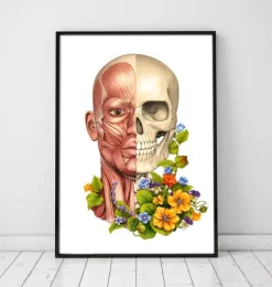 Codex Anatomicus Head & Face^Facial muscles anatomy - Floral - White