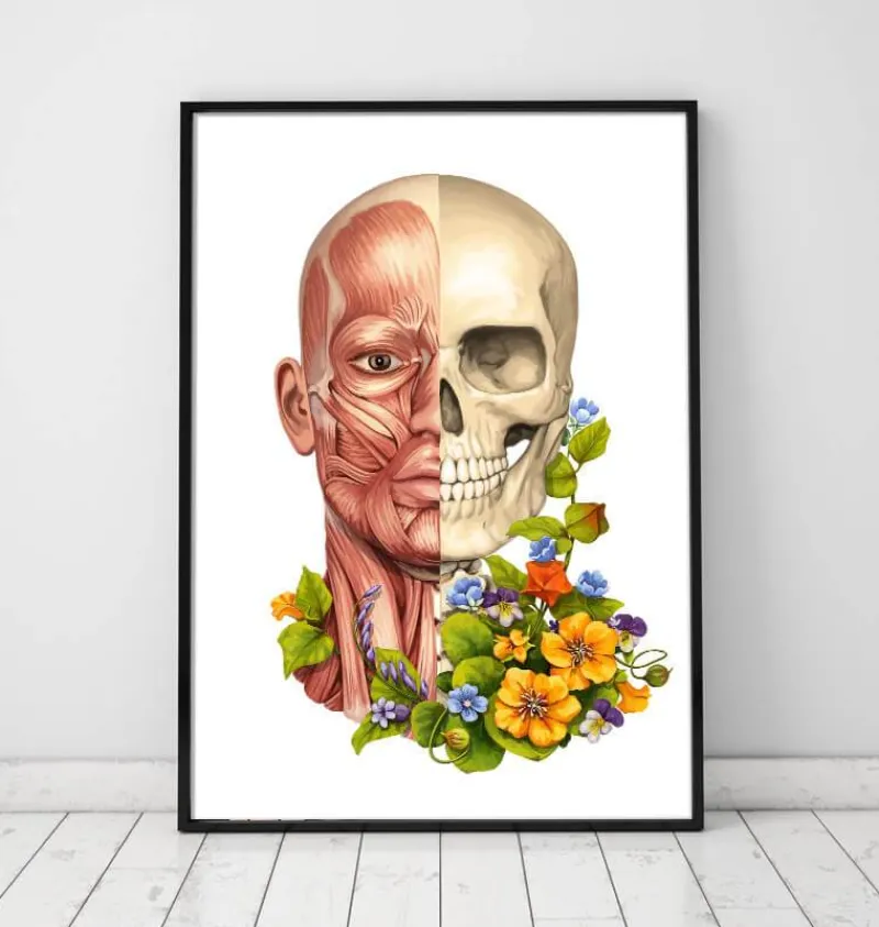 Codex Anatomicus Head & Face^Facial muscles anatomy - Floral - White