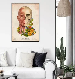 Codex Anatomicus Head & Face^Facial muscles anatomy - Floral - Vintage