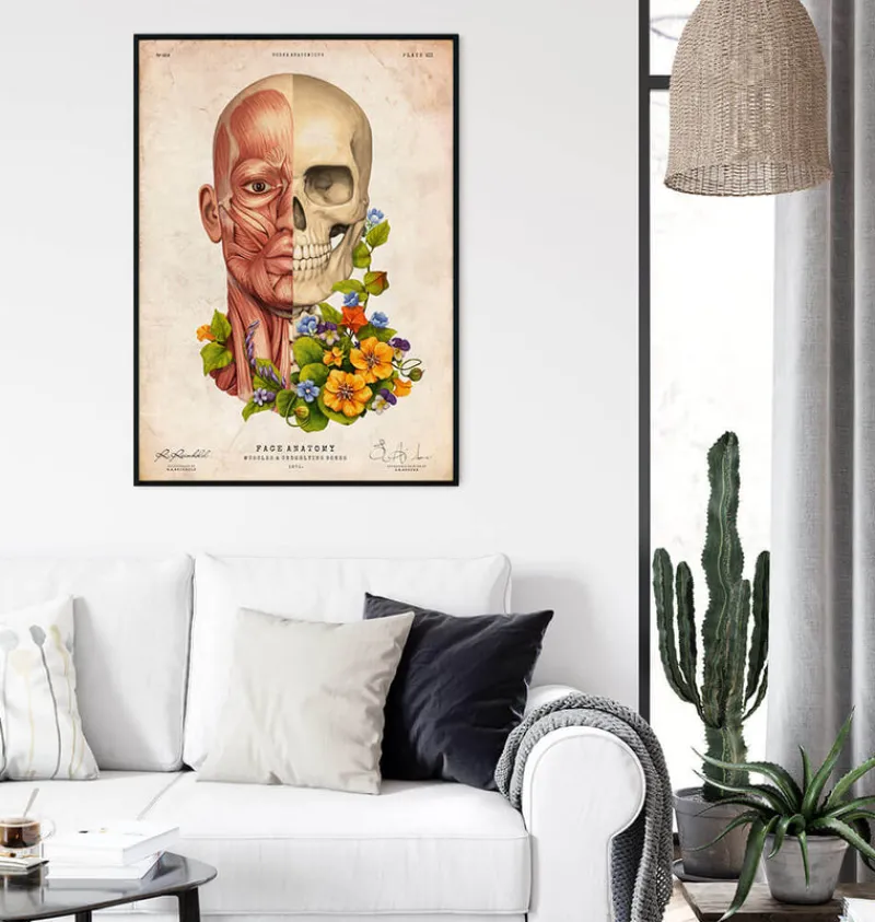 Codex Anatomicus Head & Face^Facial muscles anatomy - Floral - Vintage