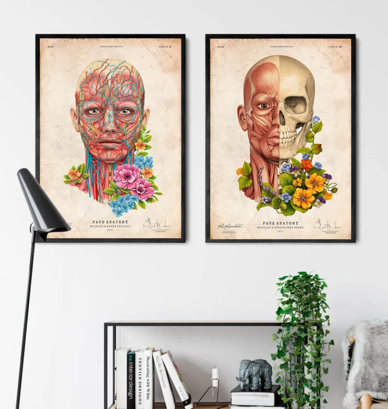 Codex Anatomicus Head & Face^Facial muscles anatomy - Floral - Vintage