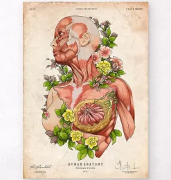 Codex Anatomicus Full Body Anatomy^Female body anatomy - Floral - Vintage