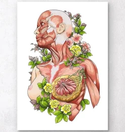 Codex Anatomicus Full Body Anatomy^Female body anatomy art - White