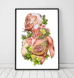 Codex Anatomicus Full Body Anatomy^Female body anatomy art - White