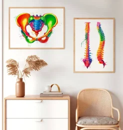 Codex Anatomicus Skull & Skeleton^Female pelvis anatomy - Watercolor splash