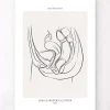 Codex Anatomicus Kidney & Liver^Female urogenital system - Line Art