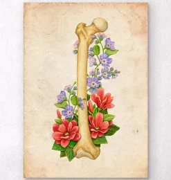 Codex Anatomicus Skull & Skeleton^Femur anatomy - Floral - Vintage