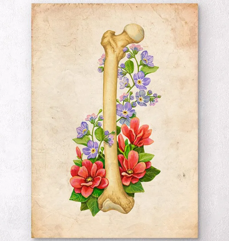 Codex Anatomicus Skull & Skeleton^Femur anatomy - Floral - Vintage