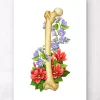 Codex Anatomicus Skull & Skeleton^Femur anatomy - Floral - White