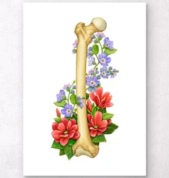 Codex Anatomicus Skull & Skeleton^Femur anatomy - Floral - White
