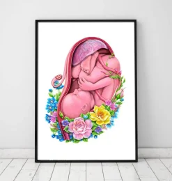 Codex Anatomicus Obstetrics & Gynecology^Fetus in a womb - Floral - White
