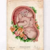 Codex Anatomicus Obstetrics & Gynecology^Fetus in a womb II - Floral - Vintage