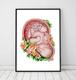 Codex Anatomicus Obstetrics & Gynecology^Fetus in a womb II - Floral - White