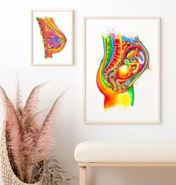 Codex Anatomicus Obstetrics & Gynecology^Fetus in utero anatomy - Watercolor splash