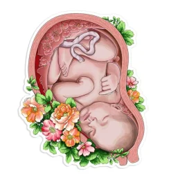 Codex Anatomicus Stickers^Fetus sticker III - Floral