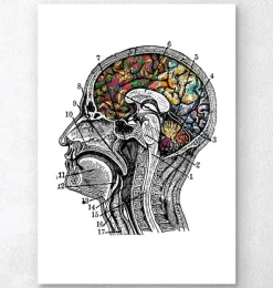 Codex Anatomicus Brain Anatomy^Floral brain art - White background