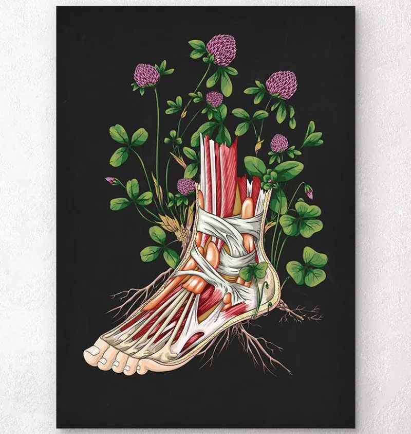 Codex Anatomicus Hands & Legs^Floral foot anatomy - Black