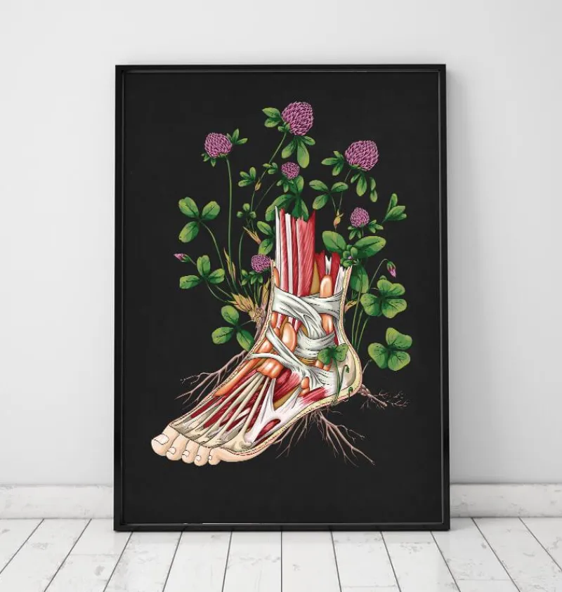 Codex Anatomicus Hands & Legs^Floral foot anatomy - Black