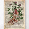 Codex Anatomicus Hands & Legs^Floral foot anatomy - Old dictionary page
