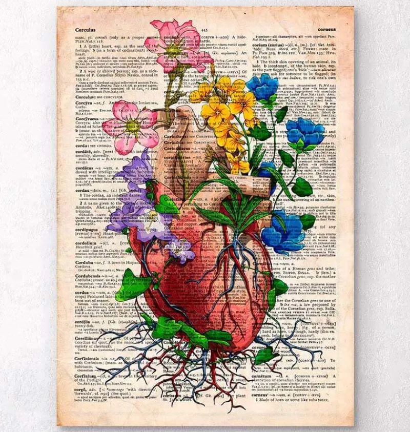Codex Anatomicus Heart Anatomy^Floral heart anatomy - Old dictionary page