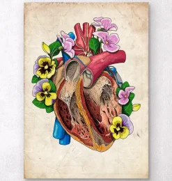 Codex Anatomicus Heart Anatomy^Floral heart anatomy II - Floral - Vintage