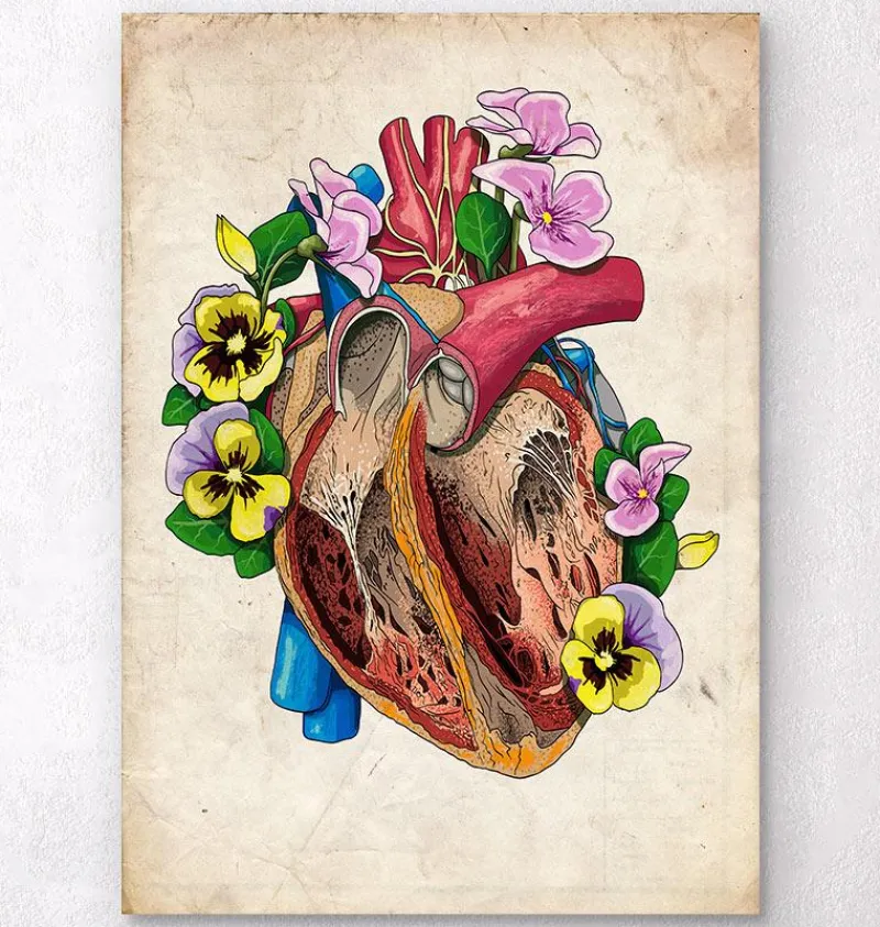 Codex Anatomicus Heart Anatomy^Floral heart anatomy II - Floral - Vintage