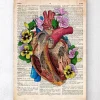 Codex Anatomicus Heart Anatomy^Floral heart anatomy II - Old dictionary page