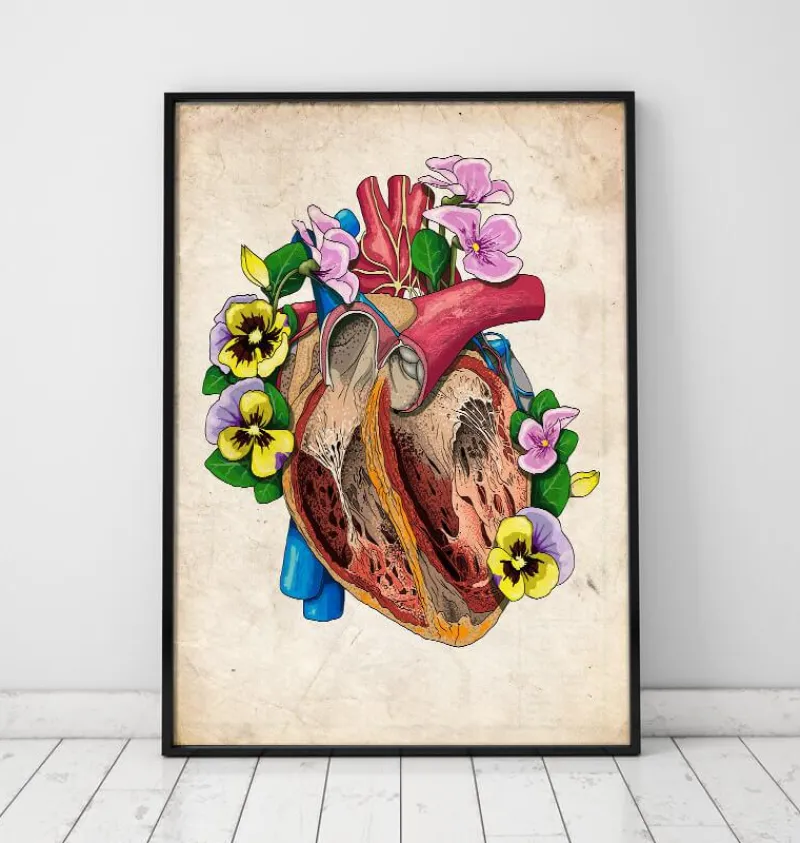 Codex Anatomicus Heart Anatomy^Floral heart anatomy II - Floral - Vintage