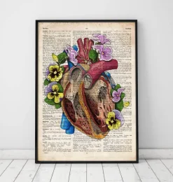 Codex Anatomicus Heart Anatomy^Floral heart anatomy II - Old dictionary page