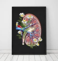 Codex Anatomicus Kidney & Liver^Floral kidney anatomy - Black