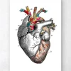 Codex Anatomicus Heart Anatomy^Floral pattern heart art - White background